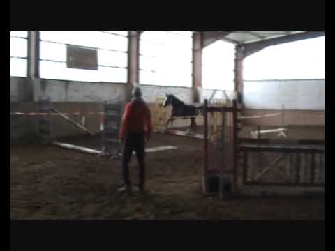 Can Dance Freispringen 2010.wmv