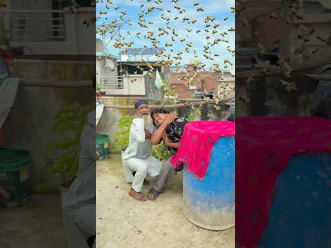 मधुमक्खी ने हमला किया 😨| #shortvideo #trending #entertainment #motivation ￼