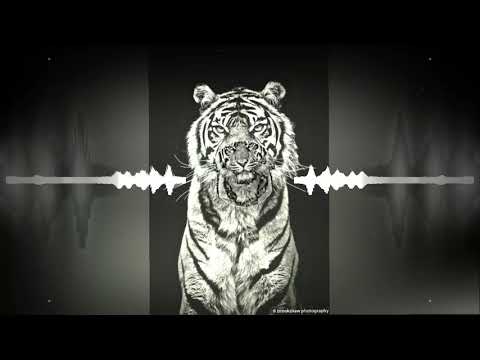 Na Favela Do Pó eh Ele Que Manda❤️🍃