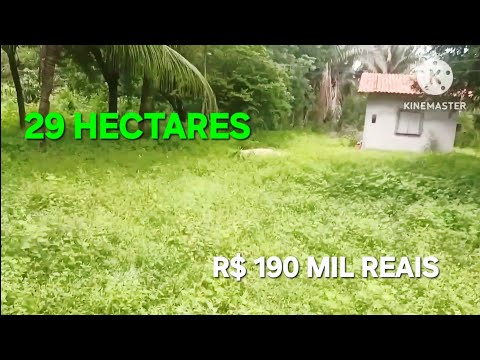 PREÇO REDUZIDO PROPRIEDADE DE 29 HECTARES PROXIMO A JOSÉ DE FREITAS PIAUÍ