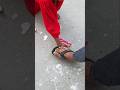 Mango Frooti Free Shorts Tiktokvideo Funnyshorts Comedy Ytshorts Songs Shortsfeed