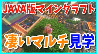 【建築】PC版の凄い公開マルチサーバーを紹介！🍖【いまさらマインクラフト！】
