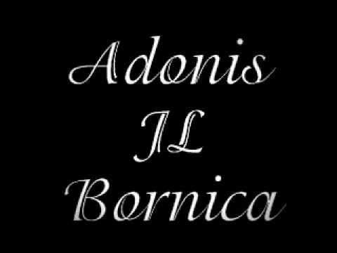 Tu Unica verdad es mentira - gregory palencia Ft black kamikase letra