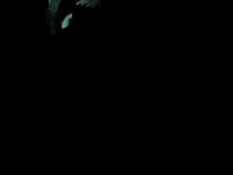 Medu Live @ Industrial Copera (End)