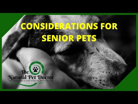 Natural Senior Dog and Cat Pet Care with The Natural Pet Doctor