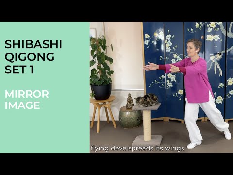 Shibashi Qigong Set 1