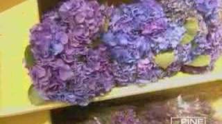 NYC Flower Market