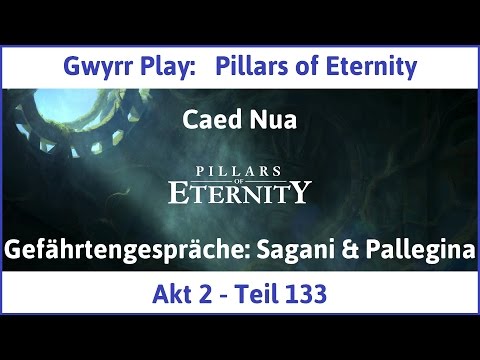 Let's Play Pillars of Eternity Akt 2 Teil 133 - Gefährtengespräche: Sagani & Pallegina