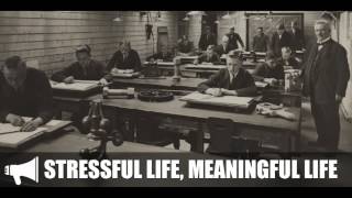 Stressful Life, Meaningful Life