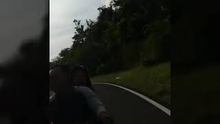 Download lagu Viva video romantis💞..Sepanjang jalan kenangan mp3
