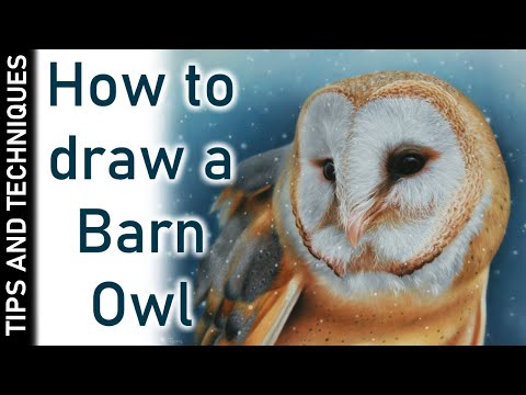 HOW TO DRAW A BARN OWL IN PASTELS | PASTEL TIPS
