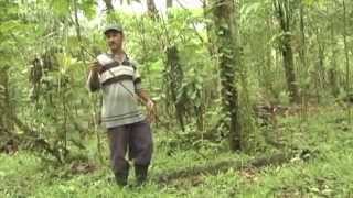 Vainilla Music Video