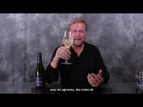 Champagne Vincent d'Astrée - NV - Brut 1er Cru FR