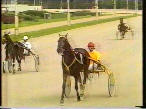 Preis der Stadt Wien 1989 Finale - Vor dem Rennen