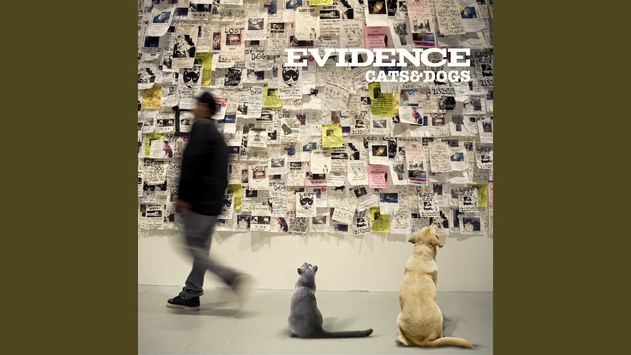 Evidence - Late for the Sky