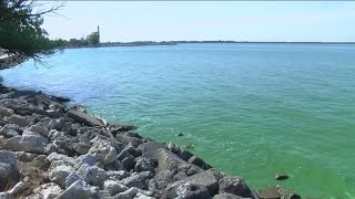 UPDATE: Lake Erie algae bloom grows, according to NOAA
