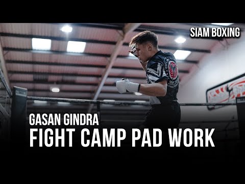 Gasan Gindra Fight Camp Pad Work | Pro K1