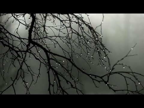 Pluie et tonnerre lointain parfait pour dormir, se détendre , se relaxer !!! 🎧 (10 heures)