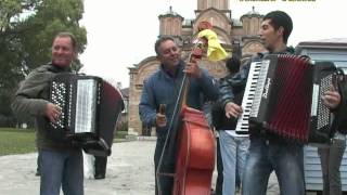 preview picture of video 'harmonika, kolo - Filip, Zuca i Boban Miladinovic'