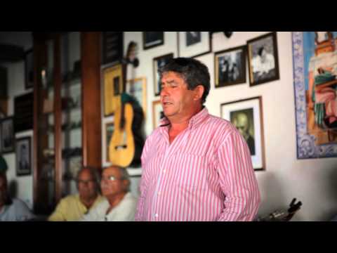 Francisco Andrade, "Fado Puxavante" - "O valor do fado"