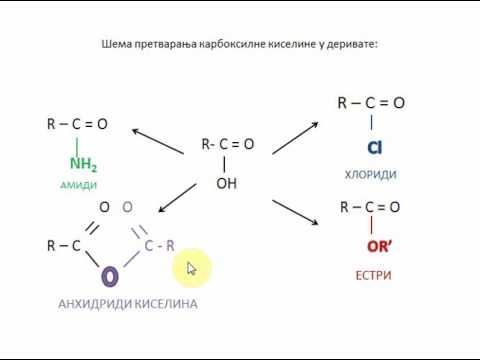 Derivati karboksilnih kiselina 1.deo- Teodora Milić