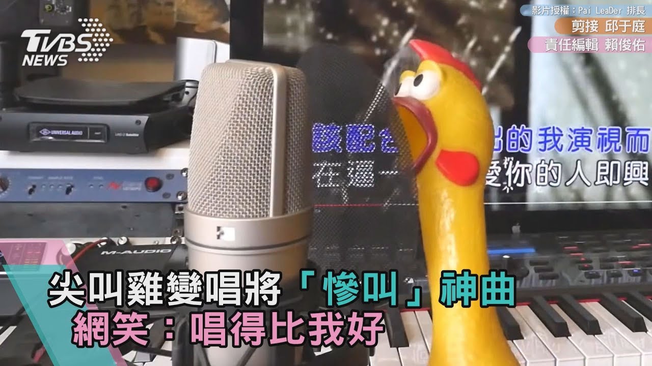 尖叫雞變唱將「慘叫」神曲 網笑:唱得比我好
