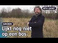 Dit stikstofbos compenseert uitstoot van bedrijven | RTV Oost