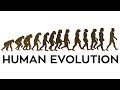 Human Evolution Animation.