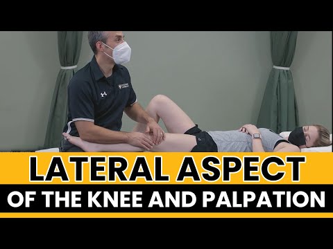 Lateral Aspect of the Knee and Palpation