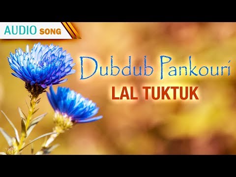 download lagu mp3 mp4 Mita Chatterjee Lal Tuk Tuk, download mp3 Mita Chatterjee Lal Tuk Tuk free download, download mp3 Mita Chatterjee Lal Tuk Tuk