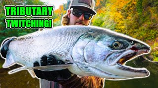 Tributary Coho Twitching, Spinners, Eggs & More!