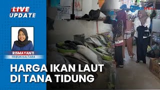 Penyebab Harga Ikan Laut di Tana Tidung Kaltara Mahal, Pedagang Klaim Gegara Lokasi Daerah Jauh