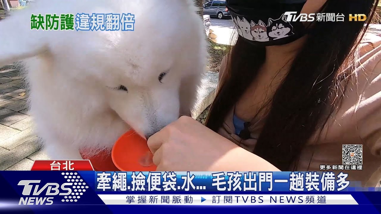 不畏踩紅線? 台北市動保通報件數翻倍成長