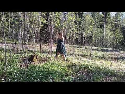 Ei ole hätää, rakkaimpani (lohtulaulu)