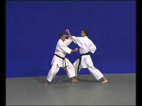 8  bunkaï meikyo III