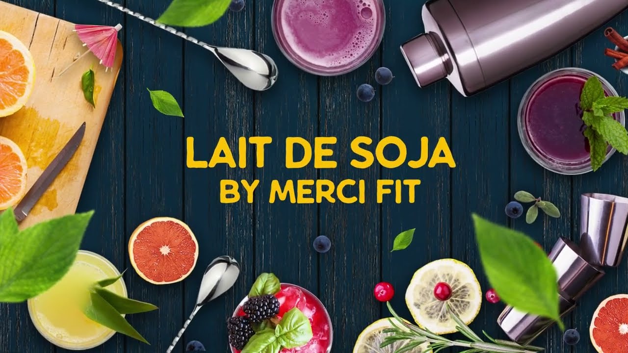 Lait de soja en poudre Merci fit Bio