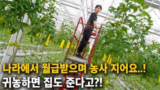 "경쟁률 매우 치열해요..!" 배우출신 30대 가장, 배우포기하고 농사에 뛰어든 이유 [스마트팜, 귀농, 귀…