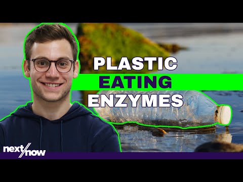 Giving New Life to Plastic Waste | Epoch Biodesign | Pique Action