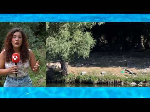 Hallados restos humanos junto a material de montaña en un bosque próximo a Belagua, en Navarra
