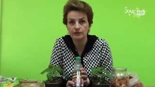 Вермикофе инструкция по применению подкормка для комнатных цветов