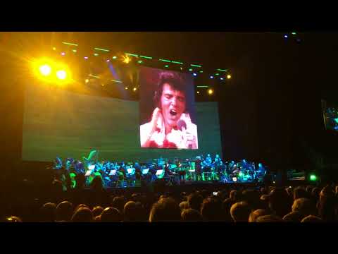 Elvis O2 30/11/17 - What Now My Love