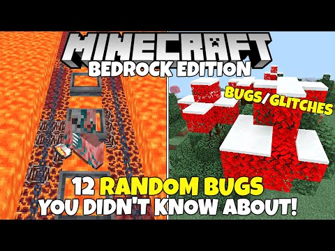 silentwisperer - 12 Totally Random Bugs You Probably Didn't Know About In Minecraft Bedrock Edition!