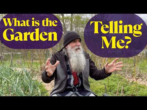 What If Nature Could Teach You to Become Your Own Best Gardening Guide?