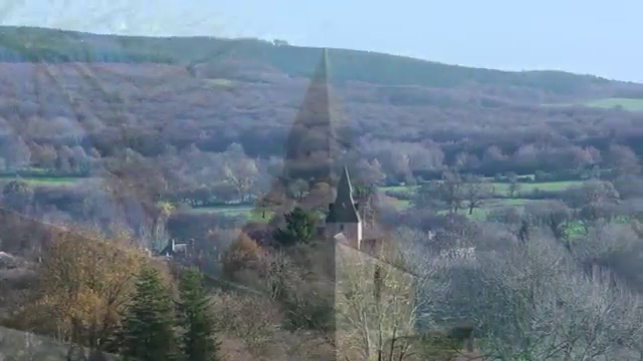 Le bocage né de la forêt