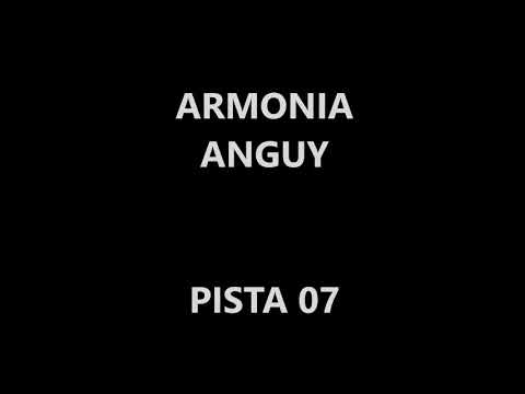 ARMONIA ANGUY - PISTA 07 - COQUITA VERDE - AMOR A LA HUANCAINA