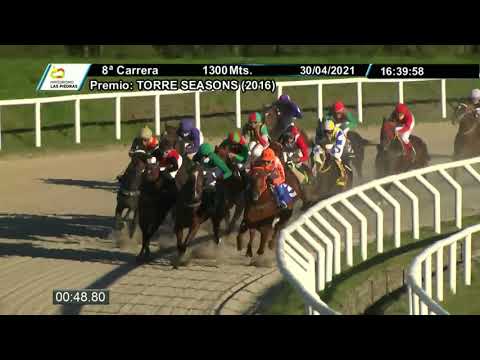 210430 c08  -  JIMMY ROYAL - HIPODROMO LAS PIEDRAS