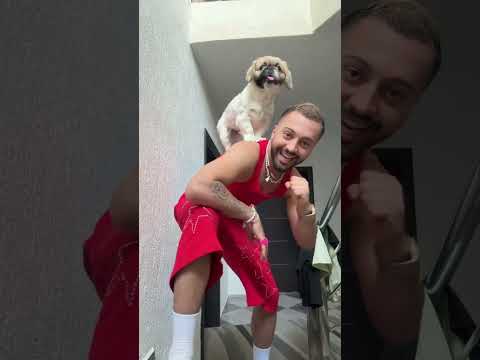 A e fitoi Gjesti trendin e momentit në TikTok? 😂