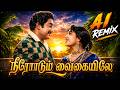 நீரோடும் வைகையிலே AI Remix Tamil DJ Remix Song 2026 Melody Beats Mix