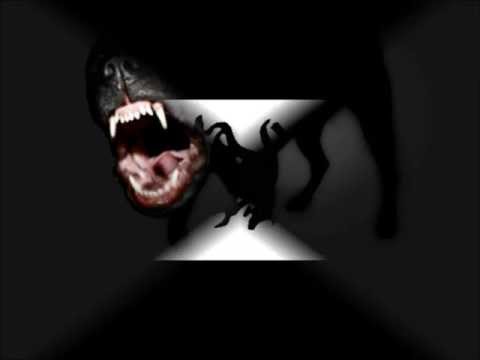 Jerarquia De Perros- Jauria Nocturna