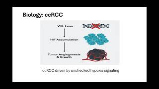 2026 AACR Renal Cell Carcinoma Highlights